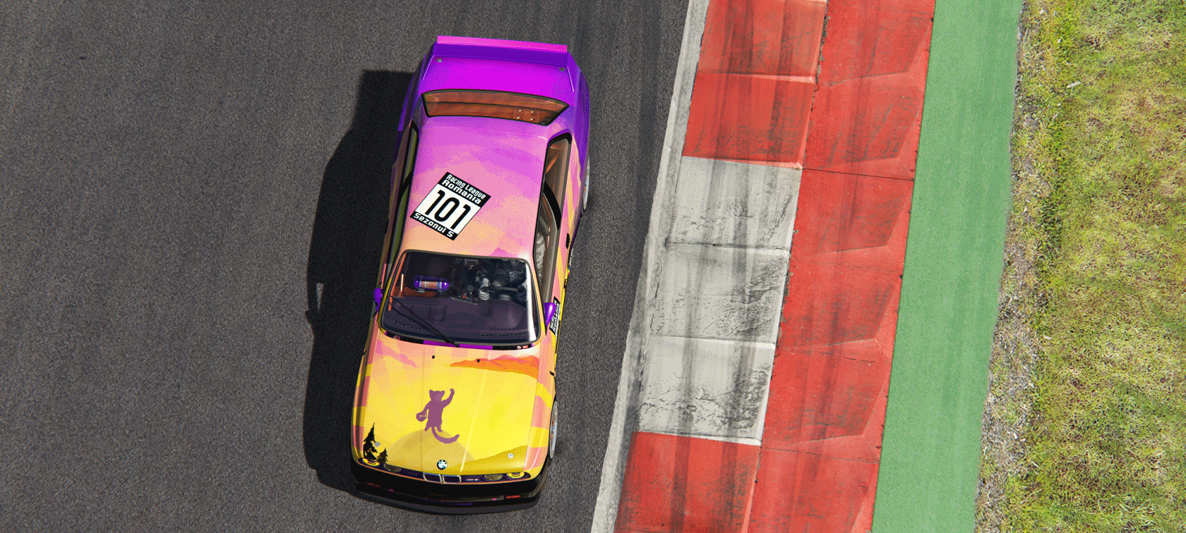 Piloti Racing League Romania Piloti Racing League Romania