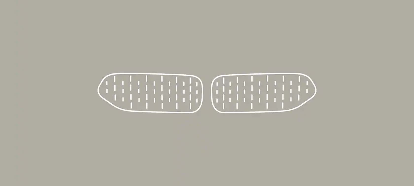 the-bmw-kidney-grille